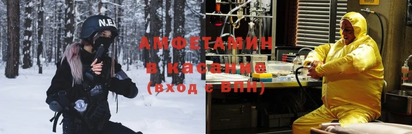 твердый Алексин
