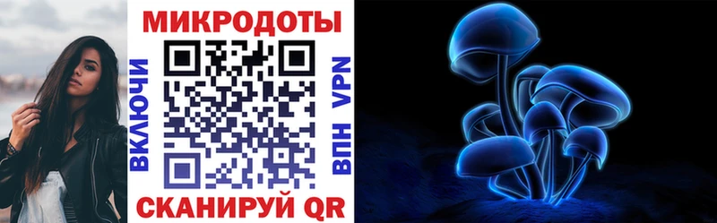 Галлюциногенные грибы Psilocybine cubensis  Андреаполь 